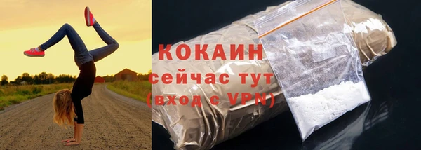 2c-b Богородицк