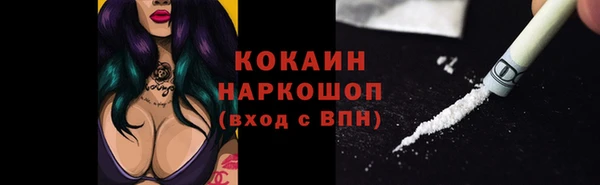 прущие грибы Пролетарск