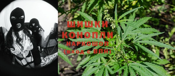 2c-b Богородицк