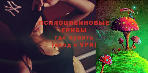 прущие крисы Богородск