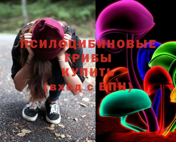 2c-b Богородицк