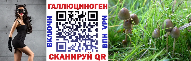 Купить где  Спасск-Рязанский  Псилоцибиновые грибы ЛСД 